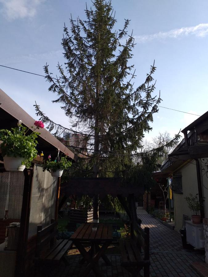 만갈리아 Casa Mola 아파트 외부 사진